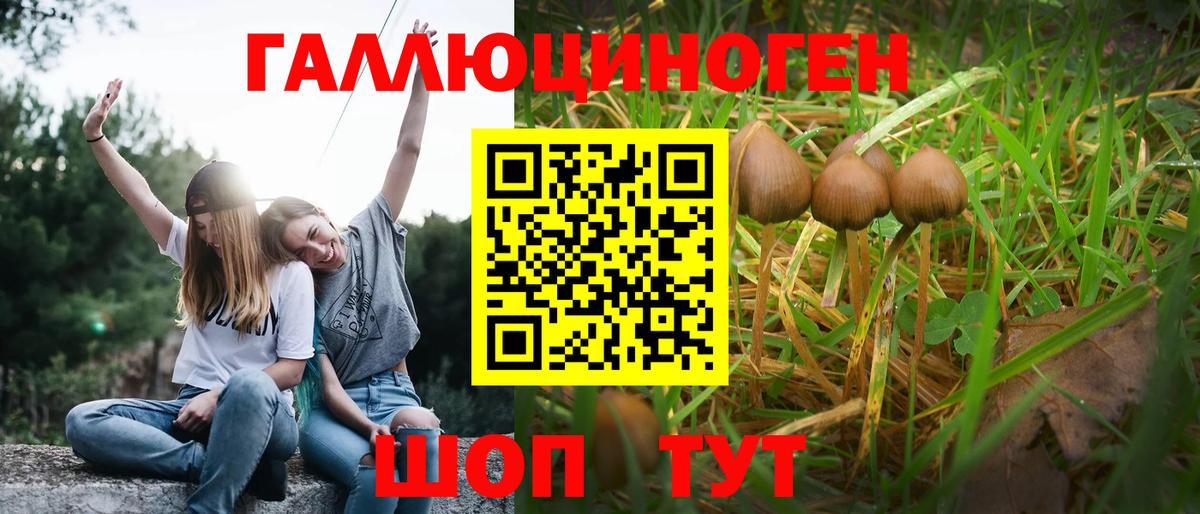 Псилоцибиновые грибы GOLDEN TEACHER Сальск